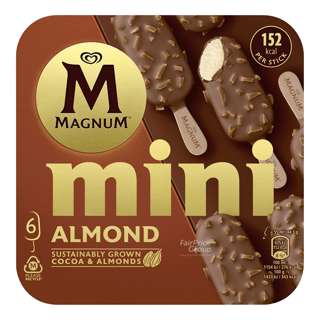 Magnum Mini Ice Cream - Almond