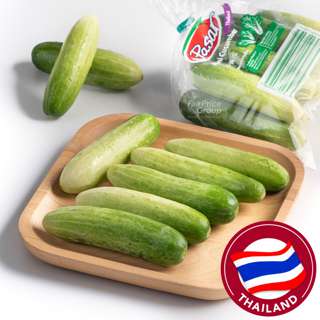 Pasar Thailand Mini Cucumber
