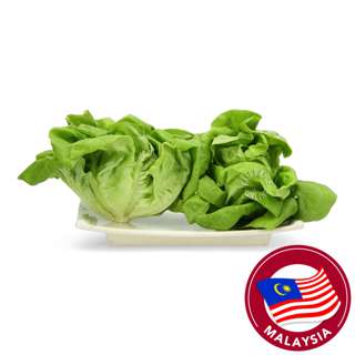 Crunchy Fresh Baby Butterhead Lettuce