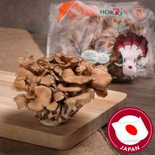 Hokto Maitake Mushroom