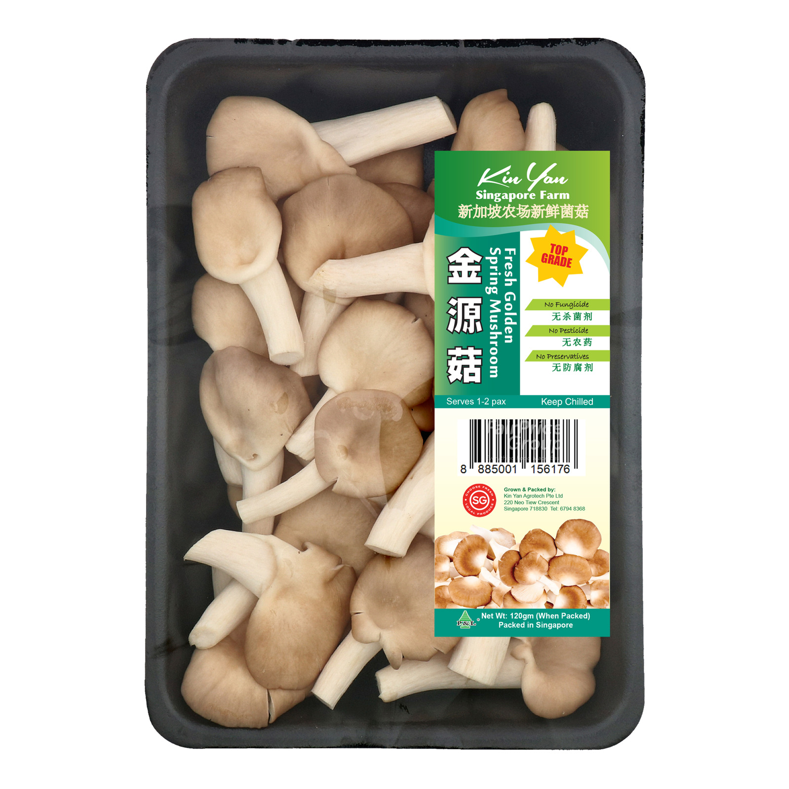 P&L Farm Fresh Mushroom - Black Fungus | NTUC FairPrice