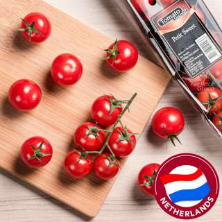 Petit Sweet Cherry Tomato On Vine