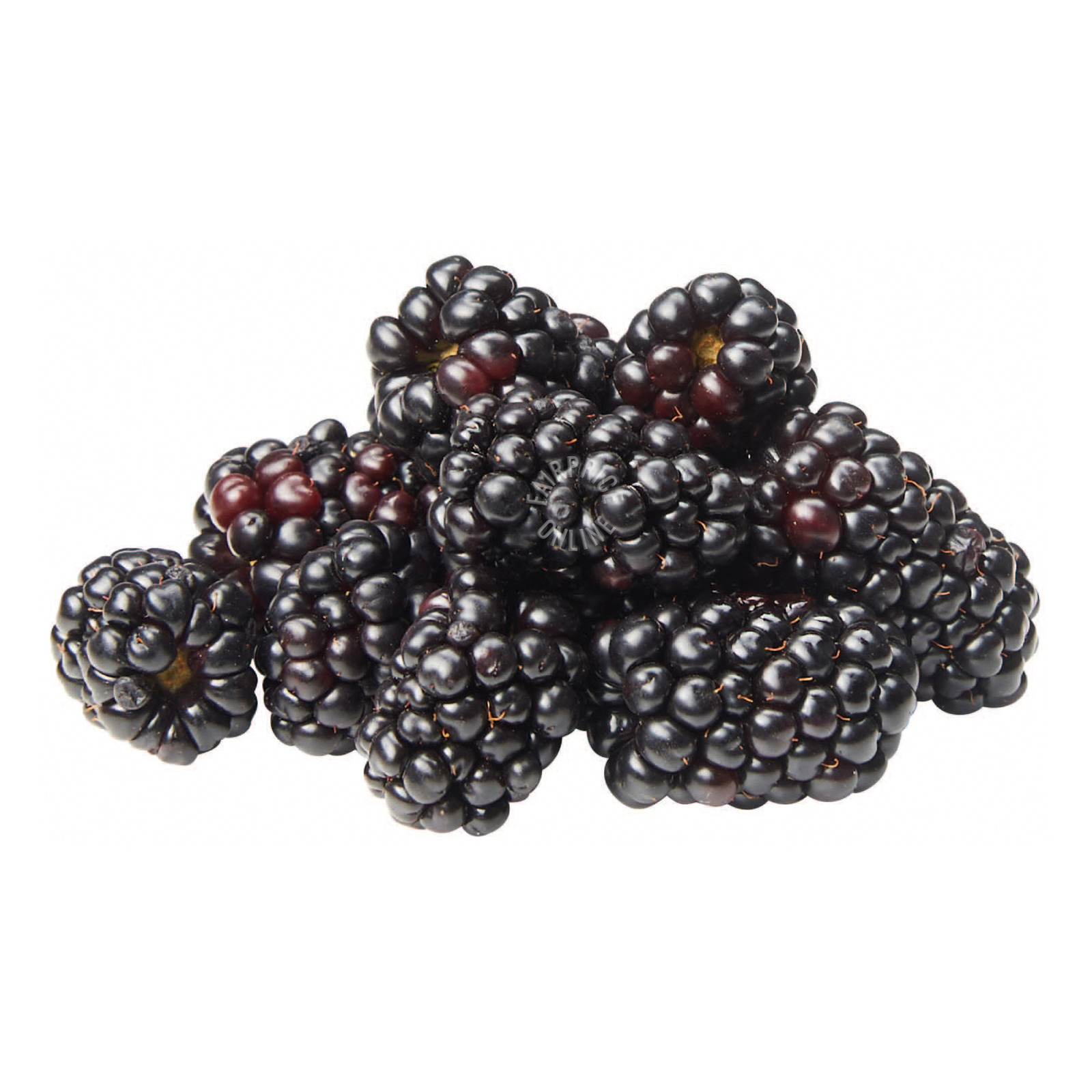 Driscoll's Blackberries NTUC FairPrice