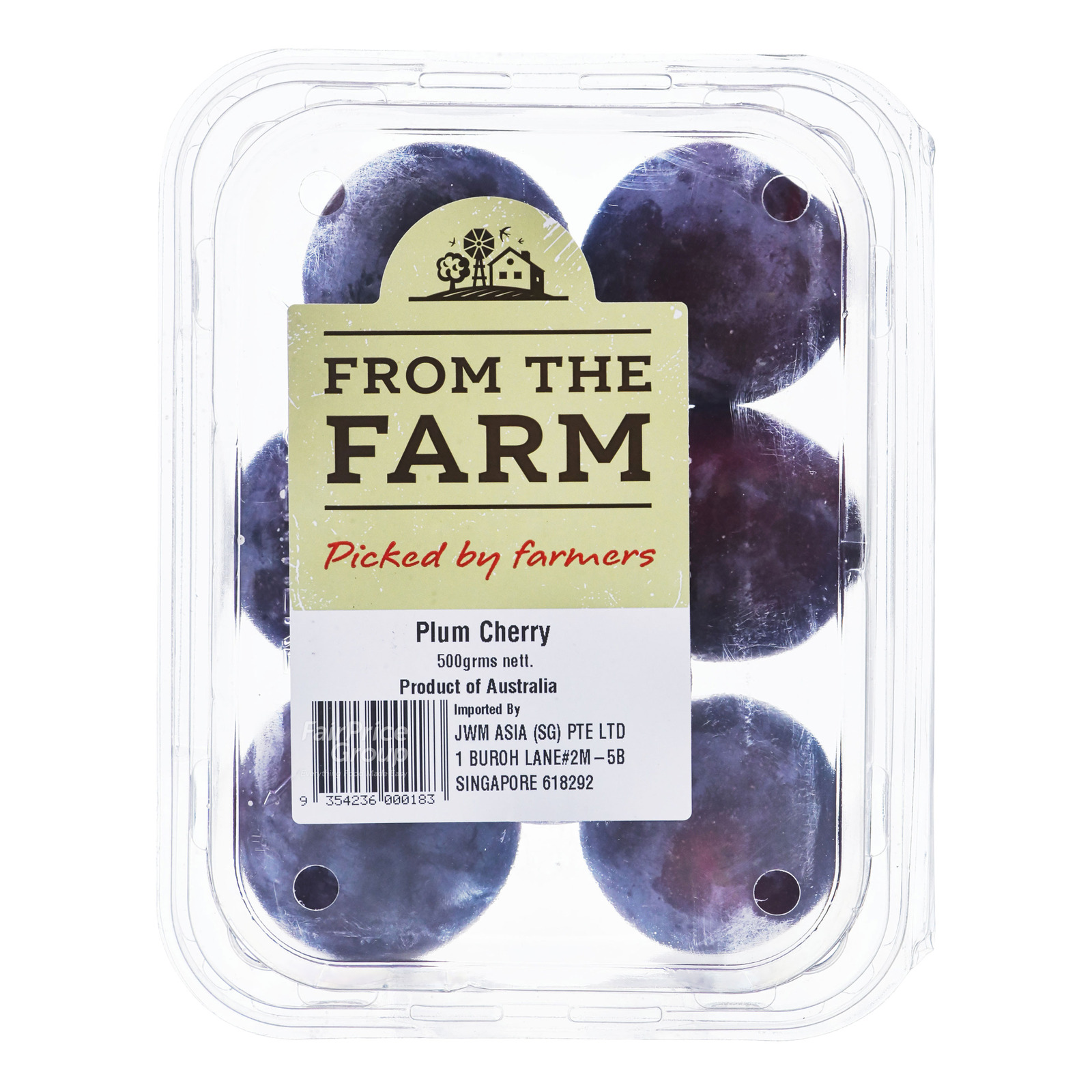Australia Plum Cherry