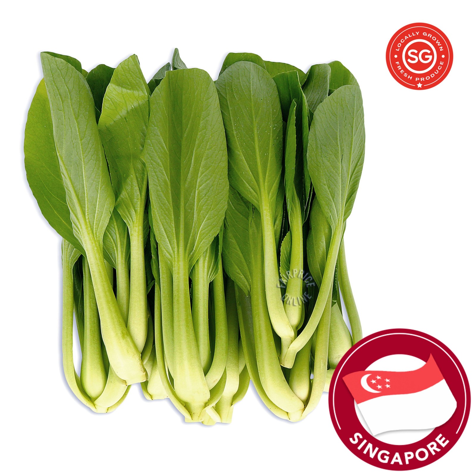 Yili Farm Xiao Bai Cai NTUC FairPrice