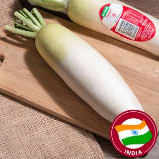 Go Fresh Daikon