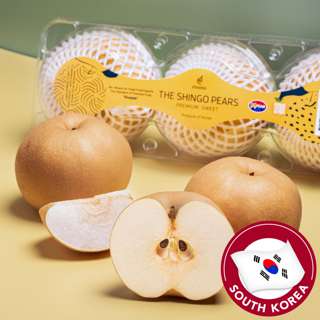 Korea Shingo Pear Korea Shingo Pear