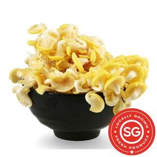 P&L Fresh Golden Oyster Mushroom