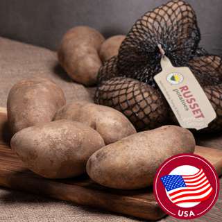 USA Russet Potato