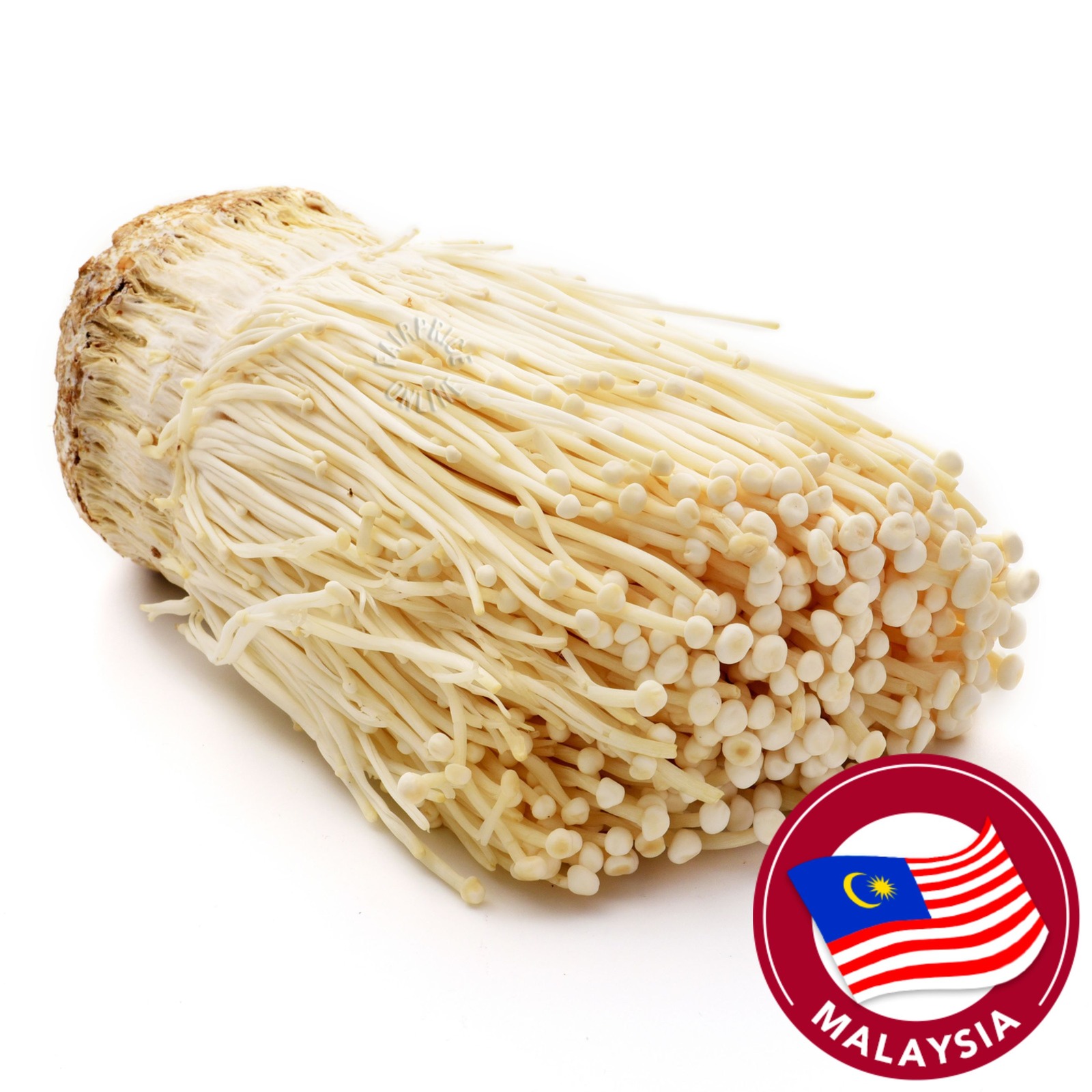 Pasar Enoki Mushroom NTUC FairPrice