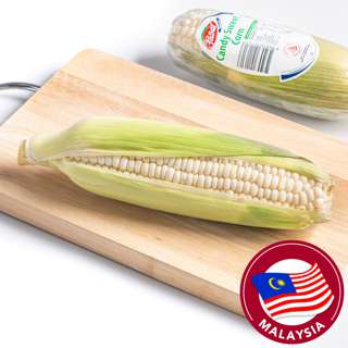 Pasar Candy Sweet Corn Pasar Candy Sweet Corn