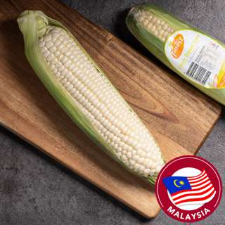 Simply Finest Candy Sweet Corn