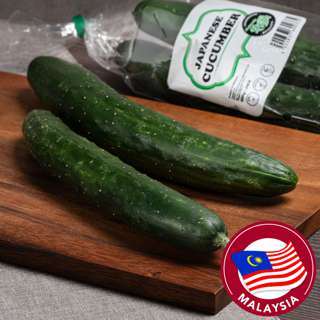 Malaysia Natural Fresh Japanese Cucumber Malaysia Natural Fresh Japanese Cucumber