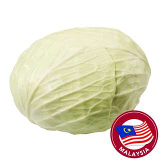 Malaysia Round Cabbage