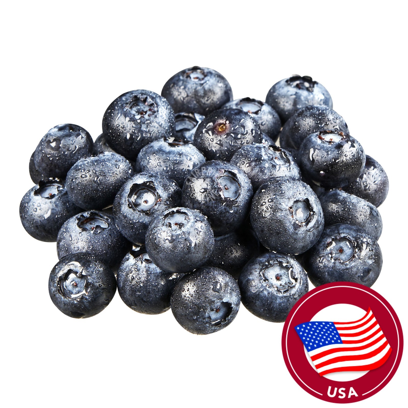 Oregon Berry USA Blueberry