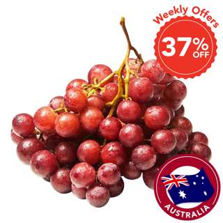 Harvest Fields Australia Red Seedless Grape
