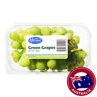 Harvest Fields Australia Grapes - Green Harvest Fields Australia Grapes - Green