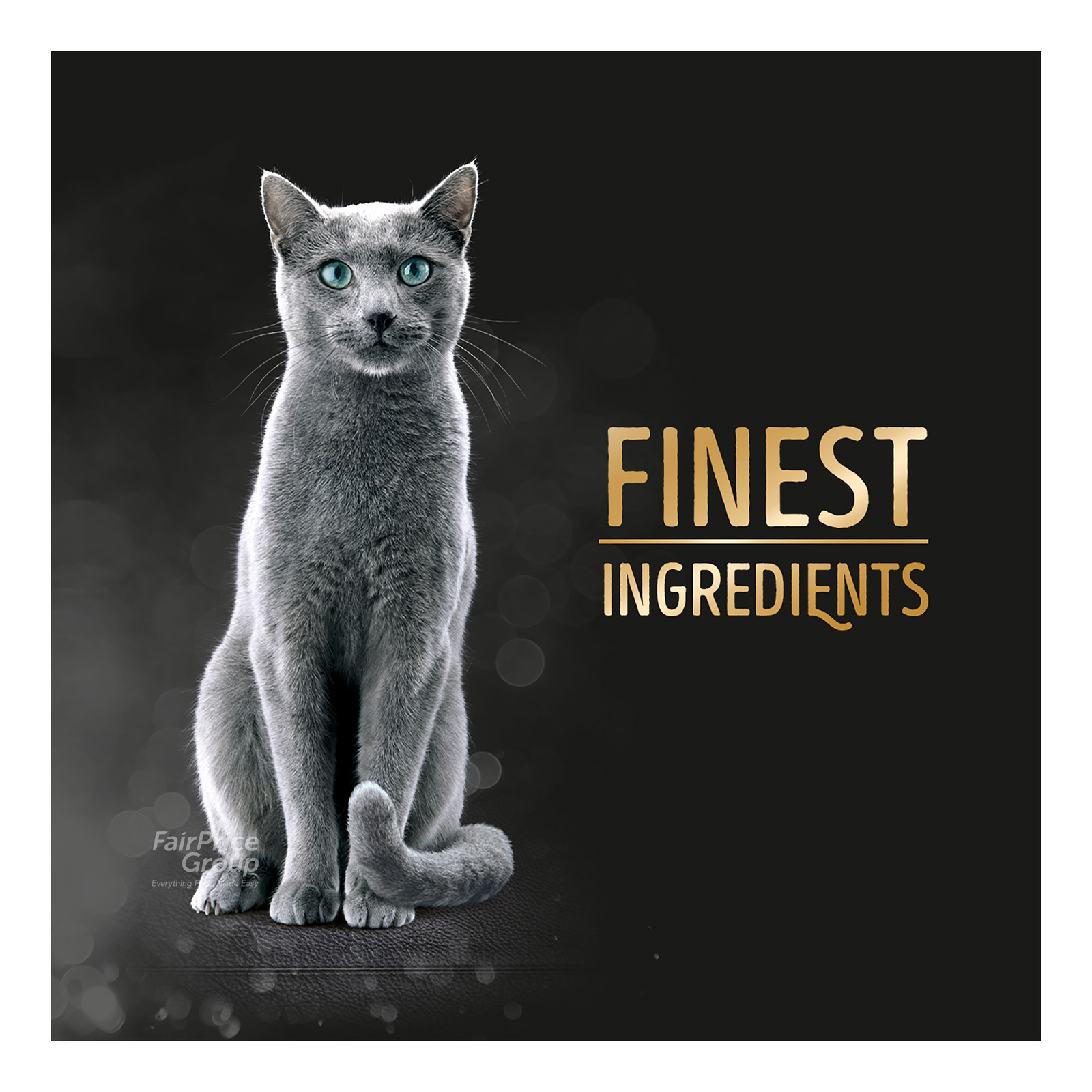 Temptations Cat Treats - Tuna, Salmon & Shrimp | NTUC FairPrice