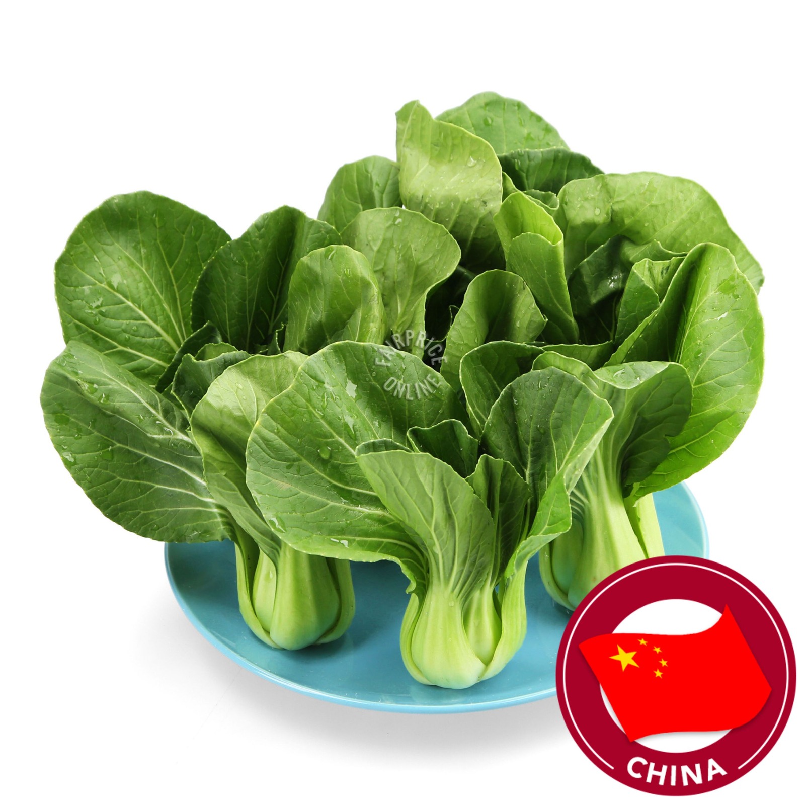 Go Fresh Baby Qing Bai