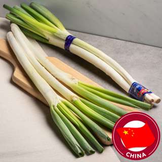 Chef China Scallion