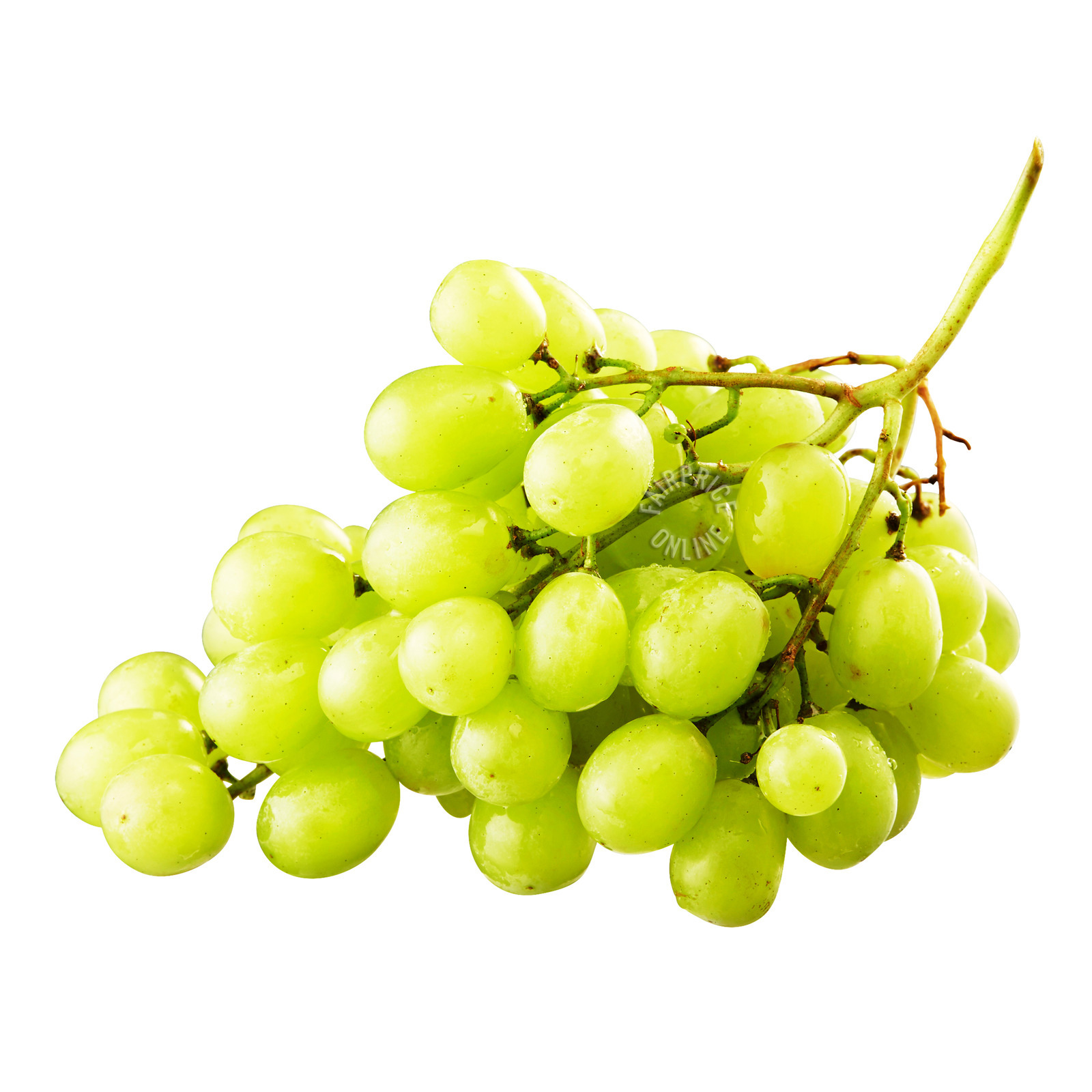 Harvest Fields Seedless Egypt Grapes Green NTUC FairPrice