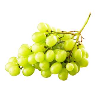 Harvest Fields Seedless Egypt Grapes - Green