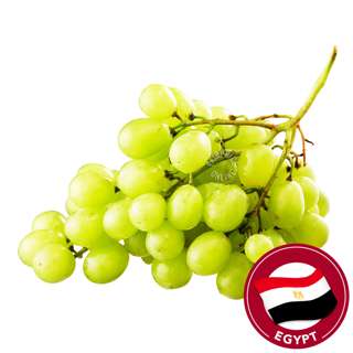 Harvest Fields Seedless Egypt Grapes - Green Harvest Fields Seedless Egypt Grapes - Green