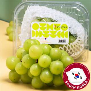 Premium Shine Muscat Korea Grape