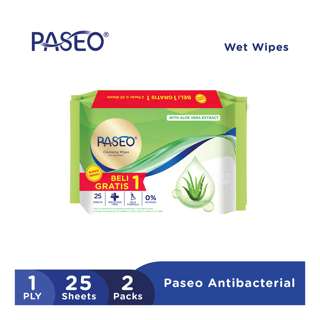 Paseo Anti Bacterial Cleaning Wipes