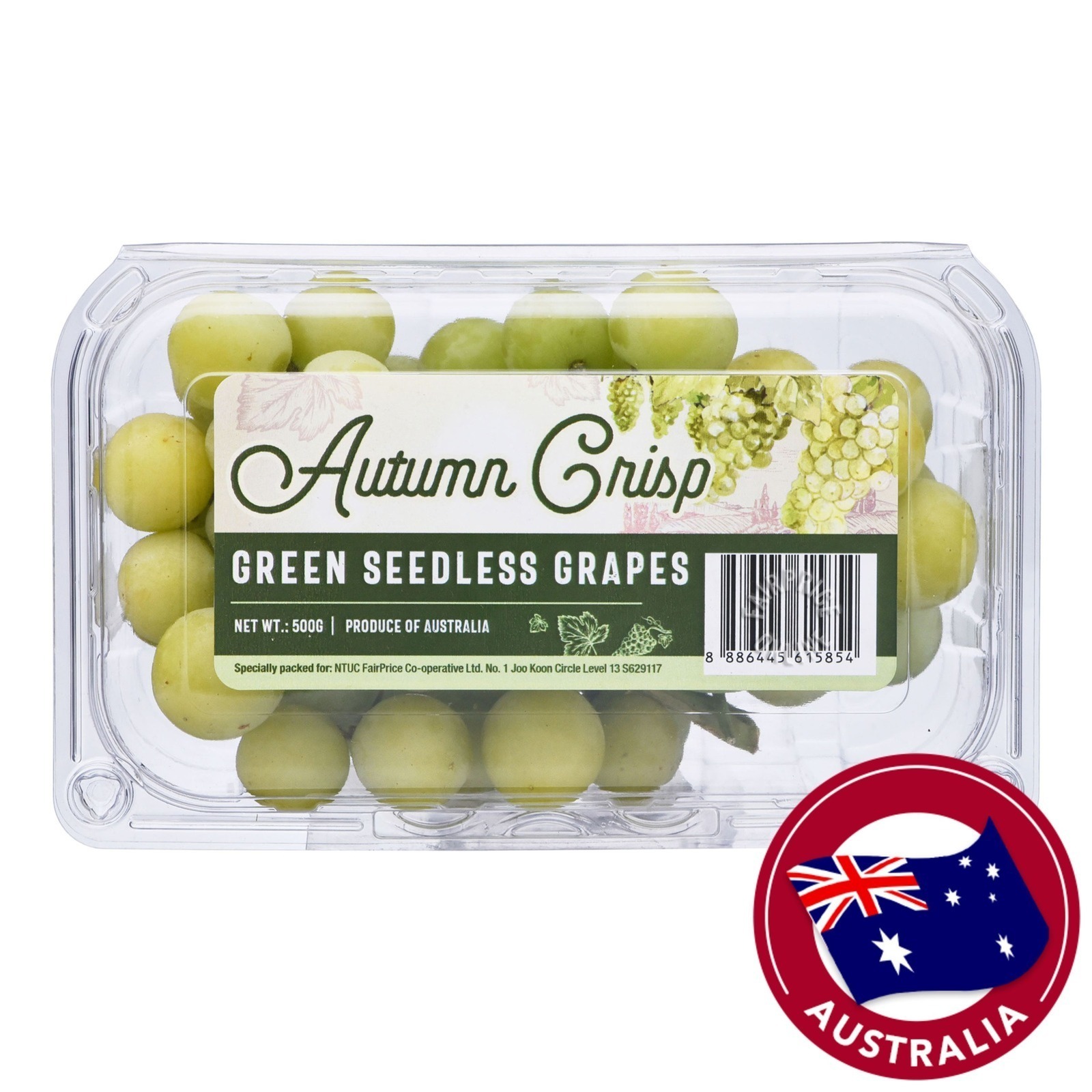 Autumn Crisp Australia Green Seedless Grapes