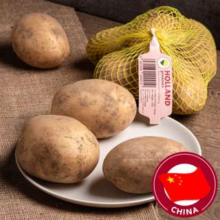 China Holland Potato