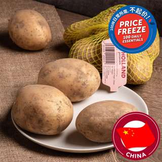 Holland Potato