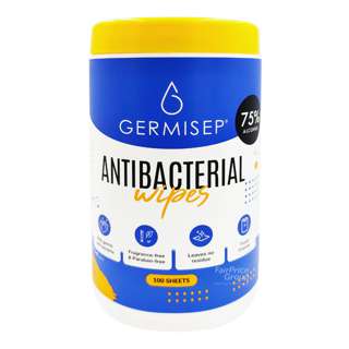 Germisep Antibacterial Wipes - Canister