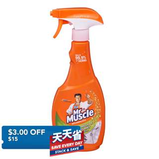 Mr Muscle Mould and Mildew - Regular