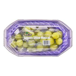 China Shine Muscat Grapes