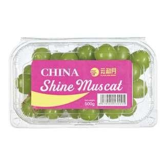 China Shine Muscat Grapes China Shine Muscat Grapes