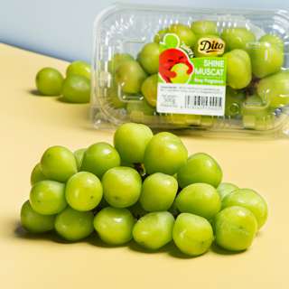 China Shine Muscat Grapes China Shine Muscat Grapes