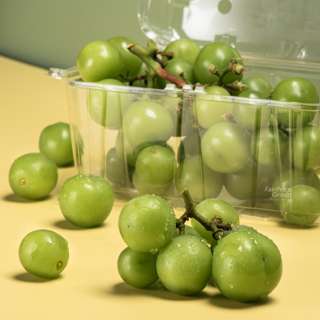 China Shine Muscat Grapes