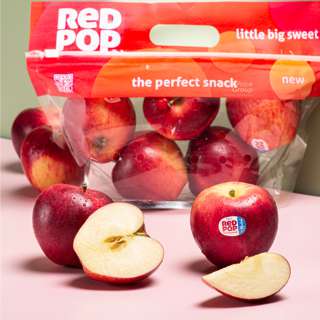 Italy Red Pop Apple