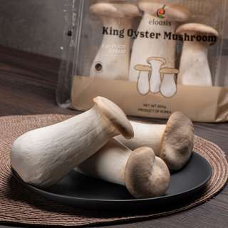 Eloasis King Oyster Mushroom Eloasis King Oyster Mushroom