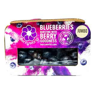 Berryworld South Africa Jumbo Blueberry