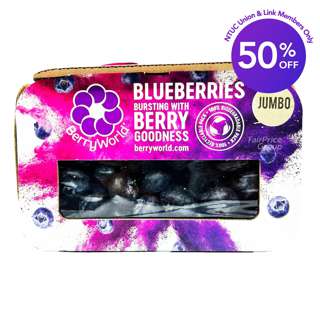Berryworld South Africa Jumbo Blueberry