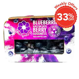 Berryworld South Africa Jumbo Blueberry