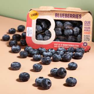 Berryworld South Africa Jumbo Blueberry