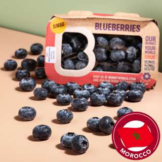 Berryworld South Africa Jumbo Blueberry