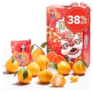 Panda Chun Jian Papagan Mandarin Orange