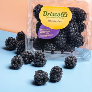 Driscoll's China Blackberries
