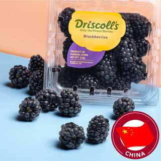 Driscoll's China Blackberries