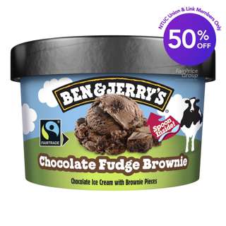 Ben & Jerry's Ice Cream - Chocolate Fudge Brownie