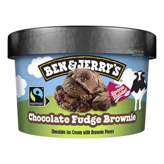 Ben & Jerry's Ice Cream - Chocolate Fudge Brownie